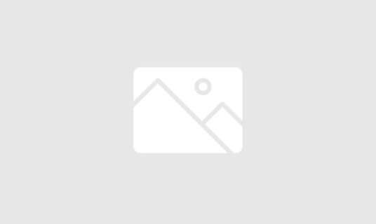 Ref.: 264-BP